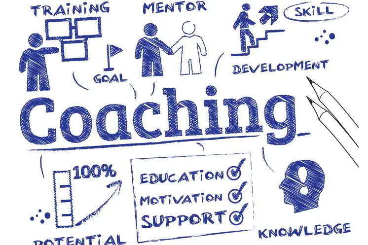 An Illustration of SEO Tutoring Coaching